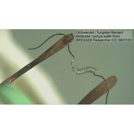 Microscópio BRESSER Researcher ICD LED 20x-80x