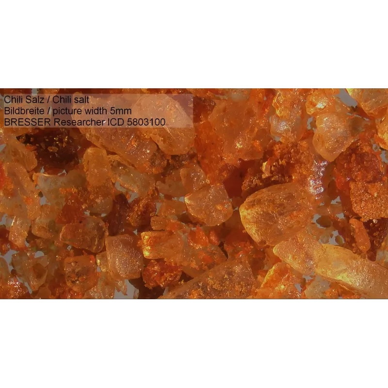 Microscópio BRESSER Researcher ICD LED 20x-80x