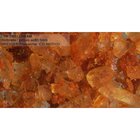 Microscópio BRESSER Researcher ICD LED 20x-80x