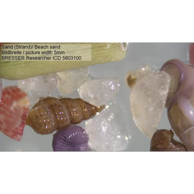 Microscópio BRESSER Researcher ICD LED 20x-80x