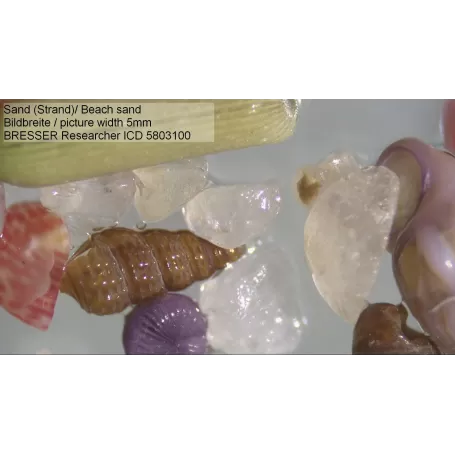 Microscópio BRESSER Researcher ICD LED 20x-80x