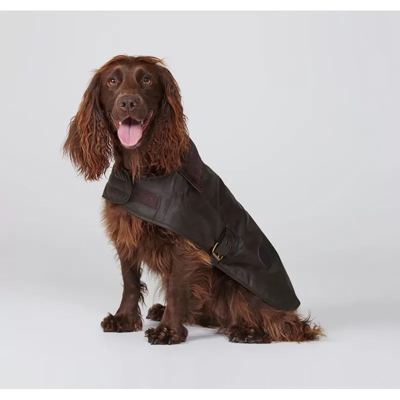 Pelagem de cera para cães