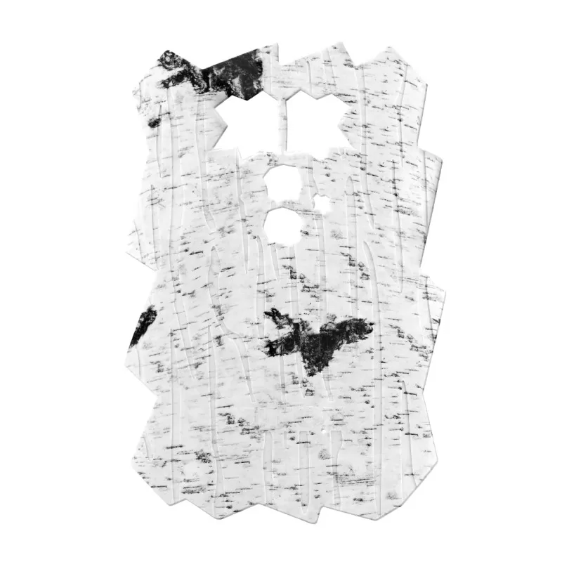 Capa de câmera para DTC 460 versão 2 - Birch Capa de câmera para DTC 460 versão 2 - Birch