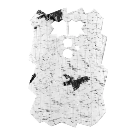 Capa de câmera para DTC 460 versão 2 - Birch Capa de câmera para DTC 460 versão 2 - Birch