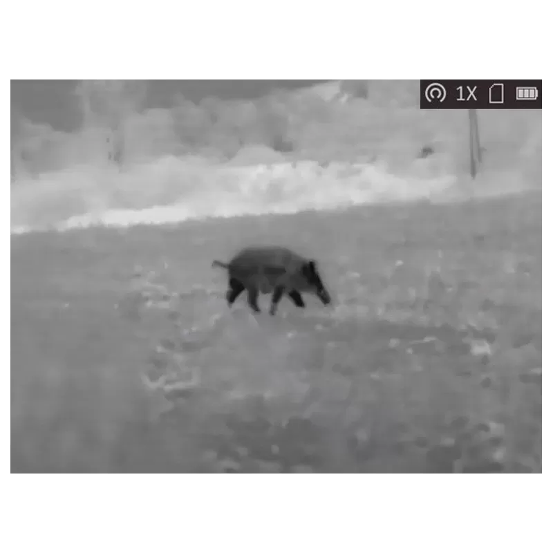 CLIP-ON AGM RATTLER TC35-384 - Monóculo Temático