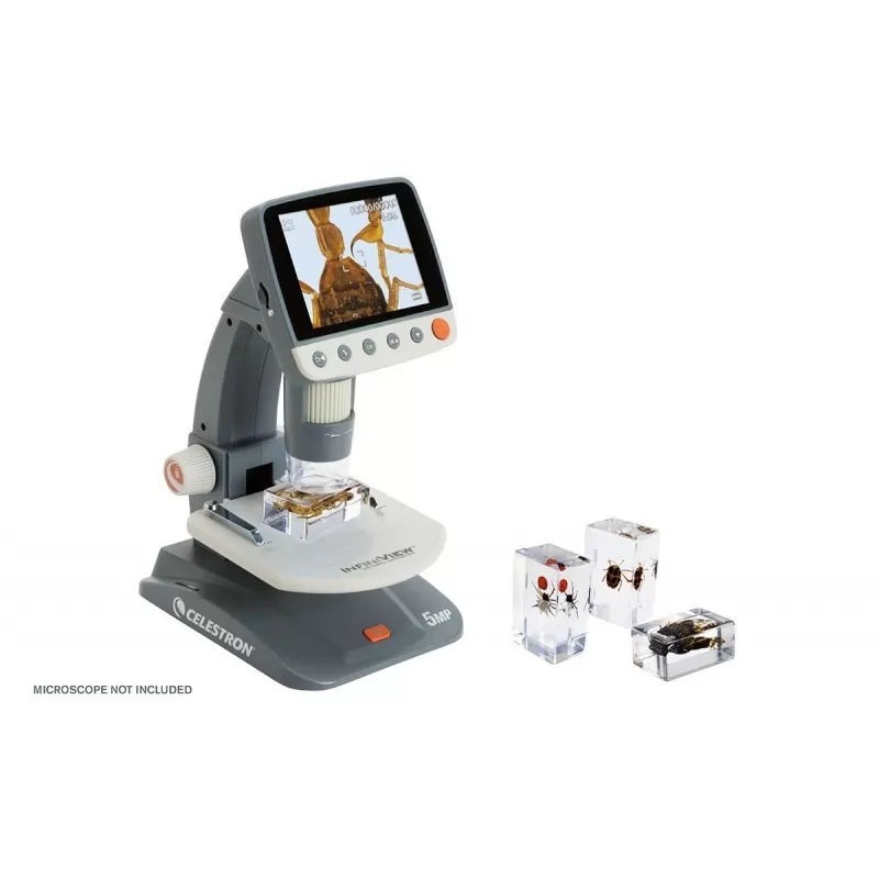 Kit de preparação de insetos 3D Celestron de 4 peças