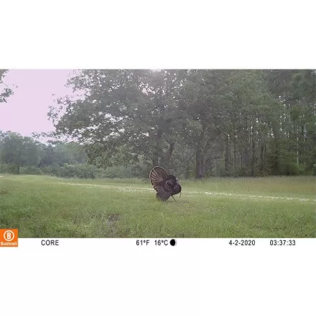 Câmera camuflada BUSHNELL Core S-4K sem brilho com efeito casca de árvore (multilíngue)