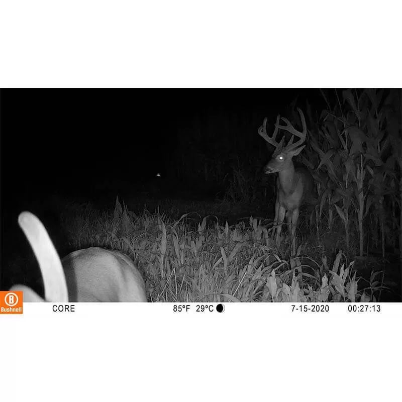 Câmera camuflada BUSHNELL Core S-4K sem brilho com efeito casca de árvore (multilíngue)