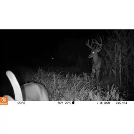 Câmera camuflada BUSHNELL Core S-4K sem brilho com efeito casca de árvore (multilíngue)