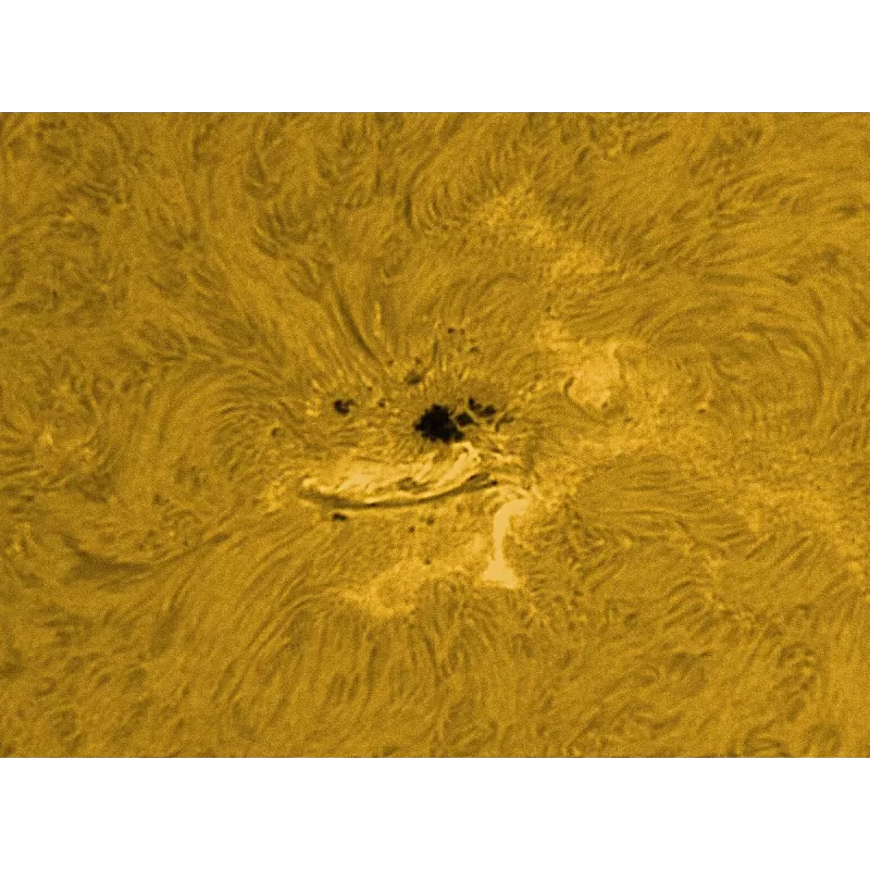 Filtro solar H-Alpha LUNT LS100FHa/B600d1