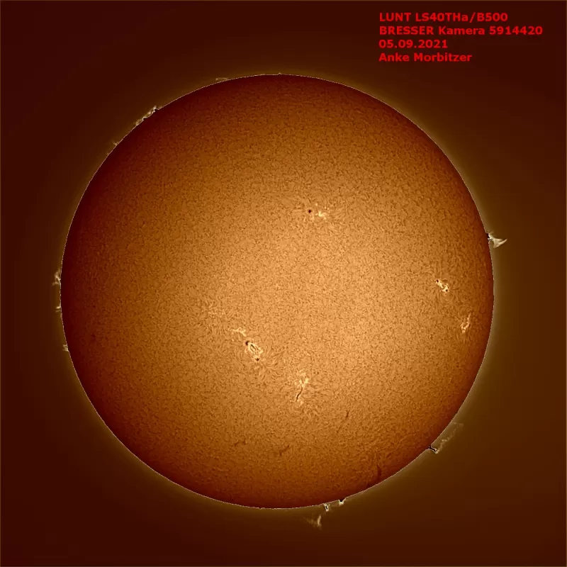 Telescópio Solar LUNT LS40THa/B600 H-alfa