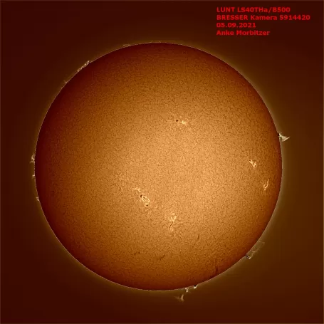Telescópio Solar LUNT LS40THa/B600 H-alfa