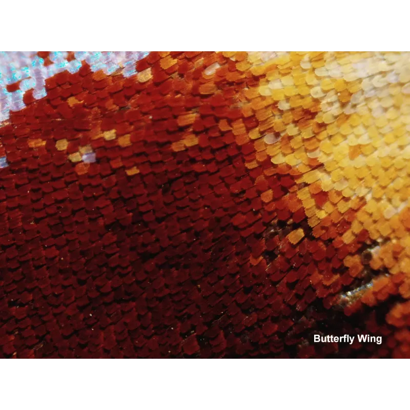 Microscopio BRESSER Biolux Touch 5 MP HDMI para Colegios y Aficionados