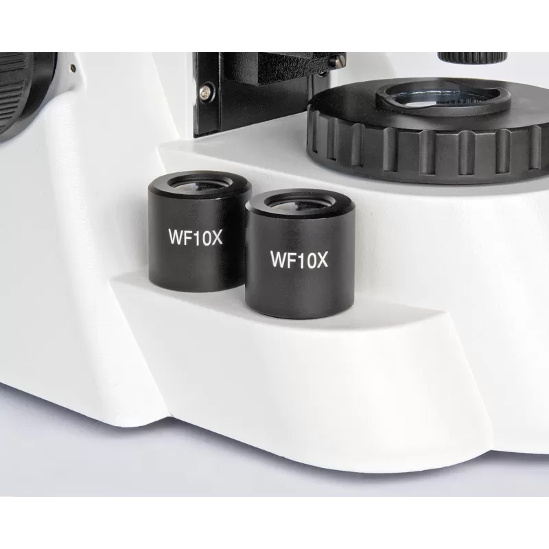 Microscópio trinocular BRESSER Bioscience 40-1000x