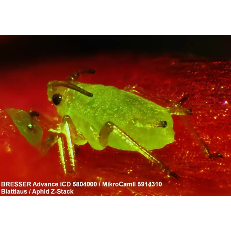 Estereomicroscópio BRESSER Advance ICD 10-160x