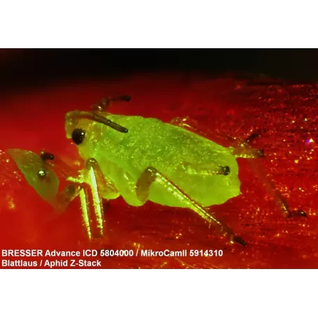 Estereomicroscópio BRESSER Advance ICD 10-160x