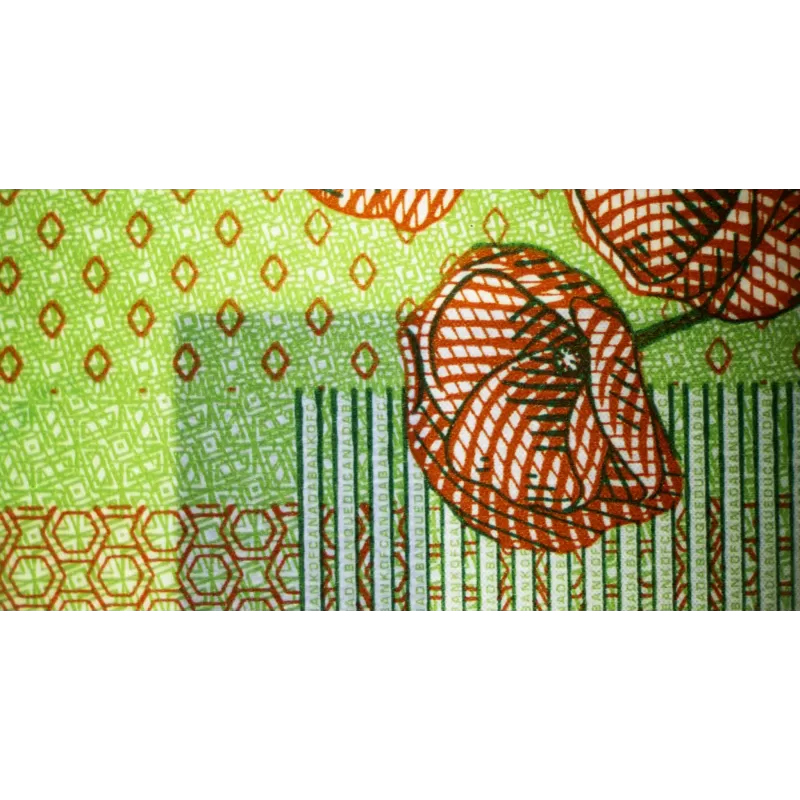 Estereomicroscópio BRESSER Science ETD-301 Trino 7x - 63x