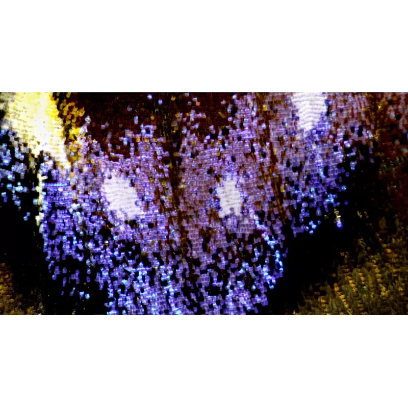 Estereomicroscópio BRESSER Science ETD-301 Trino 7x - 63x