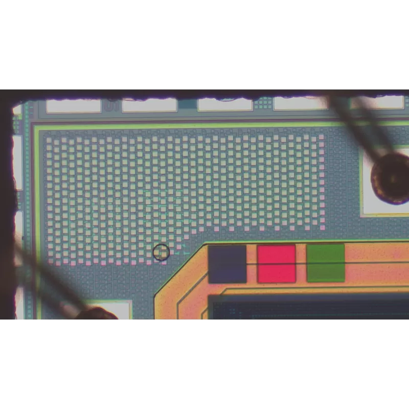 Microscópio BRESSER Science MTL 201 50-800x