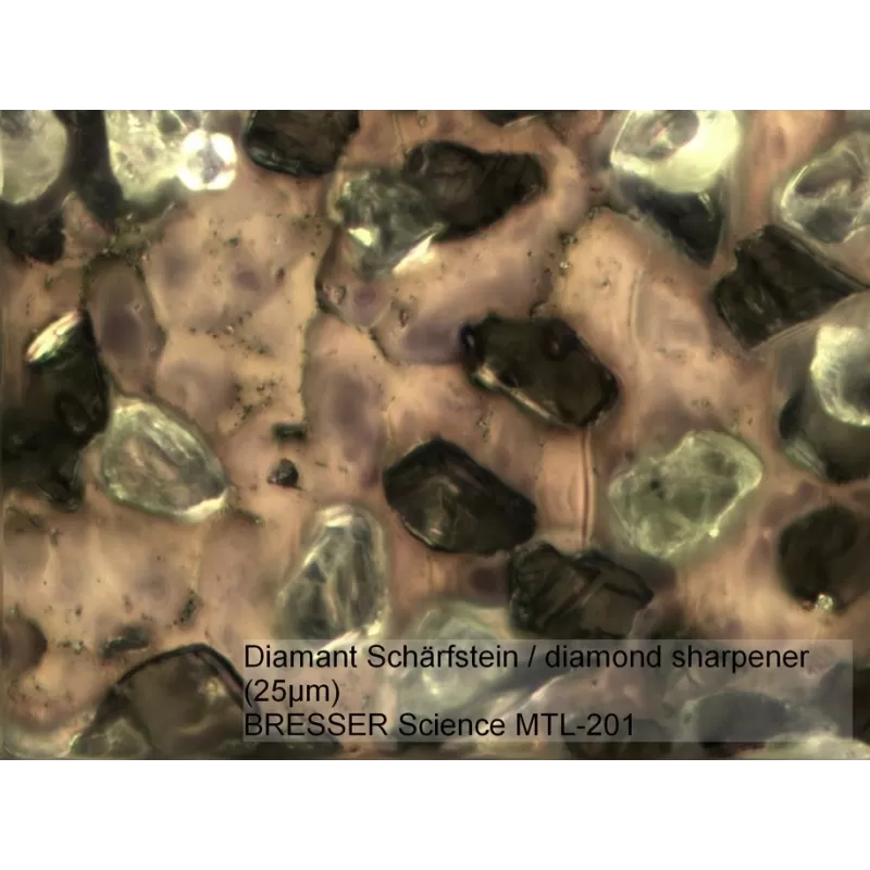 Microscópio BRESSER Science MTL 201 50-800x