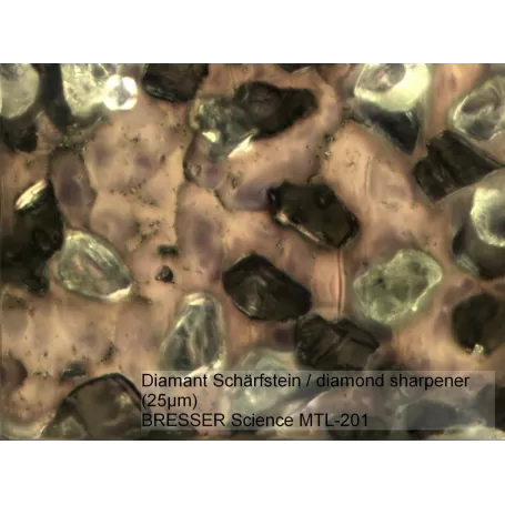 Microscópio BRESSER Science MTL 201 50-800x