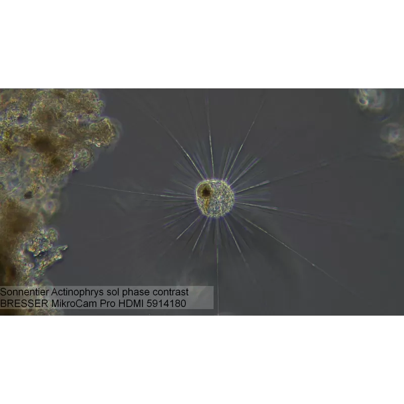 Câmera de microscópio BRESSER MikroCam PRO HDMI