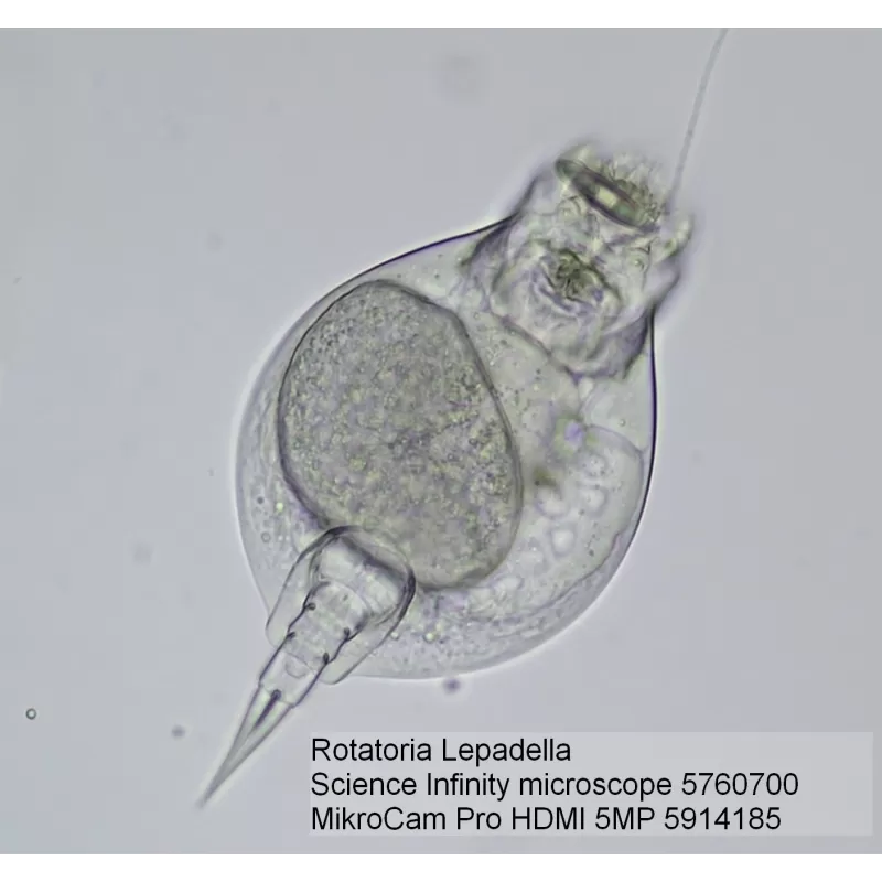 Cámara para Microscopios BRESSER MikroCam PRO HDMI 5MP