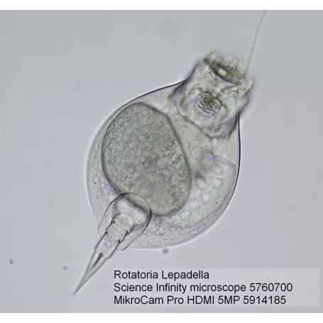 Cámara para Microscopios BRESSER MikroCam PRO HDMI 5MP