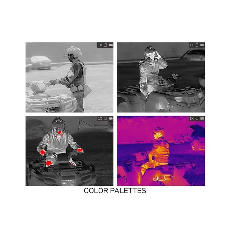 Assembleia Geral Anual TAIPAN TM19-384