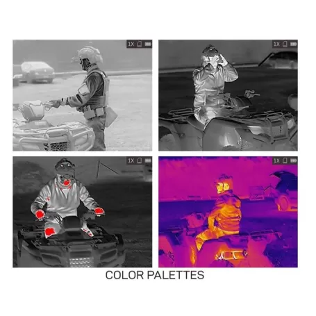 Assembleia Geral Anual TAIPAN TM19-384