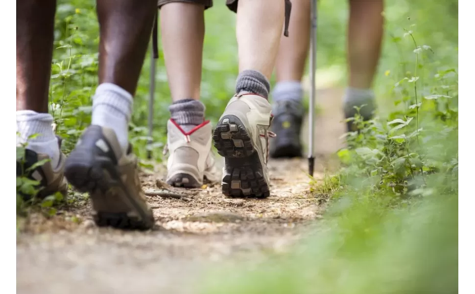 Quais são as melhores marcas de roupas para caminhadas? Quais são as melhores marcas de roupas para caminhadas?