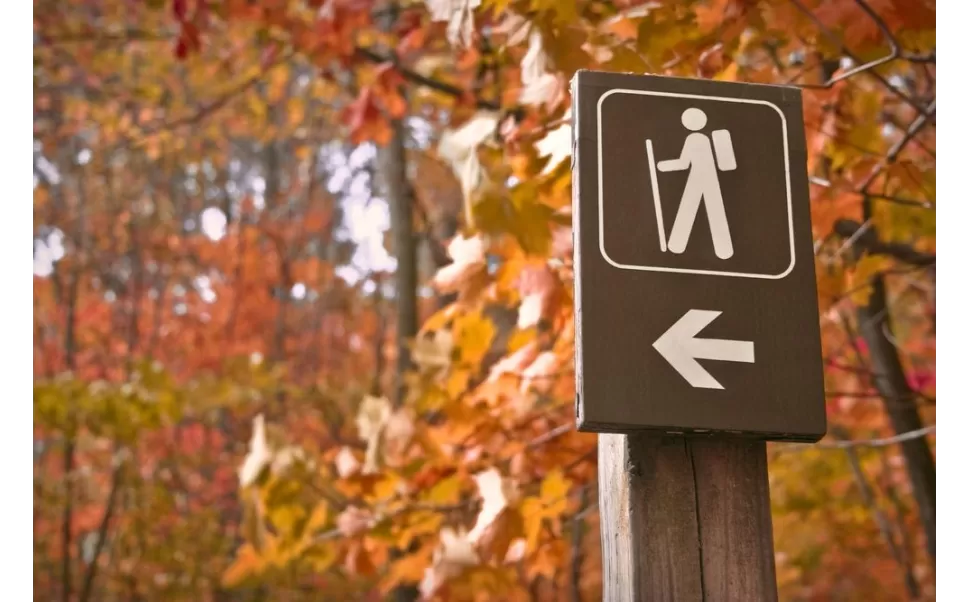 Calçado Chiruca adequado para os meses de outono Calçado Chiruca adequado para os meses de outono