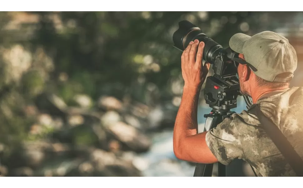 Câmeras de campo: características Câmeras de campo: características