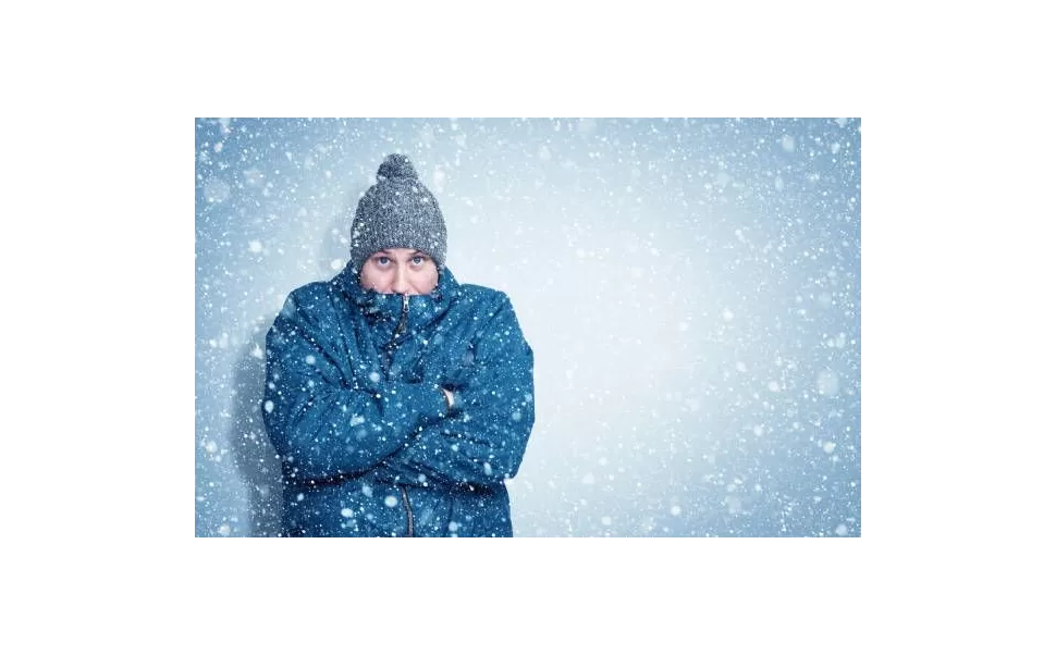 Quais características procurar em uma jaqueta de inverno de qualidade Quais características procurar em uma jaqueta de inverno de qualidade