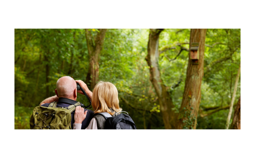 Guia para iniciantes em observação de pássaros: quais binóculos escolher e para onde ir Guia para iniciantes em observação de pássaros: quais binóculos escolher e para onde ir