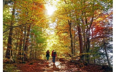 Senderismo mindful: cómo desconectar y reducir el estrés en otoño