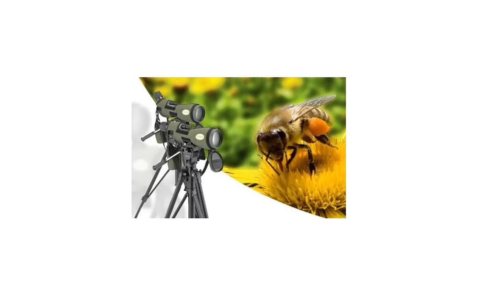 Telescopios Terrestres, criterios de elección